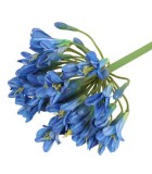 Artificial Agapanthus Flower - Blue - 8x11x70cm