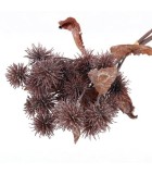 Decorative Richinus Bundle - Brown - 20x17x36cm