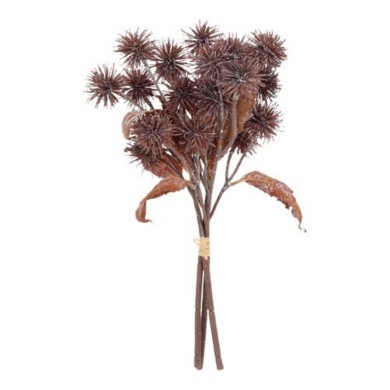 Decorative Richinus Bundle - Brown - 20x17x36cm