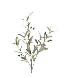 Decorative Olive Branch - Green - 9x20x105cm