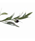 Artificial Olive Plant - Green - 60x60x180cm
