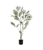 Artificial Olive Plant - Green - 60x60x180cm
