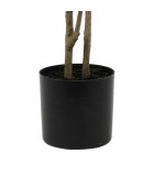 Artificial Olive Plant - Green - 60x60x180cm