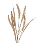 Artificial Grass Plume Stem - Brown - 35x15x68cm