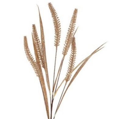 Artificial Grass Plume Stem - Brown - 35x15x68cm