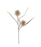 Artificial Grass Plume Stem Set of 2 - Brown - 15x15x62cm