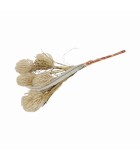 Artificial Nutan Jaxx Flower - Cream - 10x14x38cm