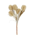 Artificial Nutan Jaxx Flower - Cream - 10x14x38cm