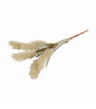 Artificial Pennisetum Jaxx Flower - Cream - 10x24x43cm