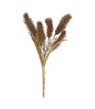 Artificial Pennisetum Jaxx Flower - Brown - 10x24x43cm