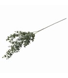 Artificial Eucalyptus Stem - Green - 8x8x64cm