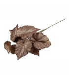 Decorative Leaf Begonia - Brown - Ø50,8 x 78,74CM Decorative Leaf Begonia - Brown - Ø50,8 x 78,74CM