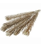 Artificial Flower Leucadendron glitter - Champagne - 3x16x64CM Artificial Flower Leucadendron glitter - Champagne - 3x16x64CM