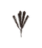 Artificial Flower Leucadendron glitter - Bronze - 3x16x64CM Artificial Flower Leucadendron glitter - Bronze - 3x16x64CM