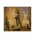 Christmas LED Lights Deer Chester facing forward - Gold - 220x70x330CM Christmas LED Lights Deer Chester facing forward - Gold - 220x70x330CM