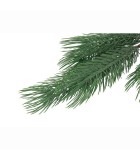 Pine Pinus - Green - 8x18x79CM Pine Pinus - Green - 8x18x79CM