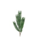 Pine Pinus - Green - 8x18x79CM Pine Pinus - Green - 8x18x79CM