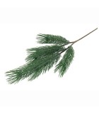 Pine Pinus - Green - 8x18x79CM Pine Pinus - Green - 8x18x79CM