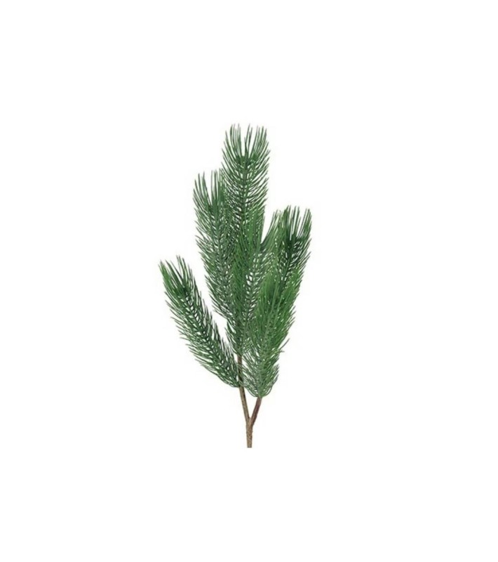 Pine Pinus - Green - 8x18x79CM Pine Pinus - Green - 8x18x79CM