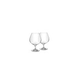 Cognac Glass Set - Cuve - 66cl(2pcs)
