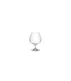 Cognac Glass Set - Cuve - 66cl(2pcs)