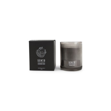 Αρωματικό κερί Sento - Blooming Rose 438g