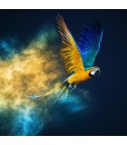 Painting Bird -  Digital print on Acrylic Glass - 95x95cm