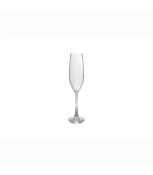 CHAMPAGNE GLASS SAGA SET (4PCS) - 29CL CHAMPAGNE GLASS SAGA SET (4PCS) - 29CL