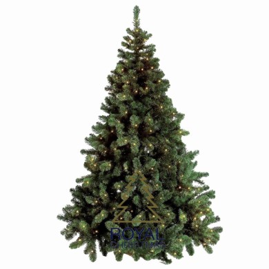 Christmas Outdoor Tree Dakota - Green - 350 LED -H210/D148cm - 795 Tips