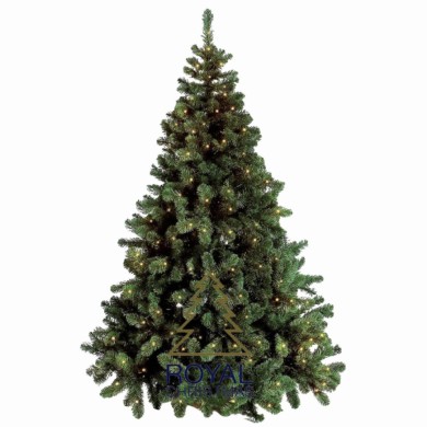 Christmas Outdoor Tree Dakota - Green - 550 LED -H240/D161cm - 1369 Tips Christmas Outdoor Tree Dakota - Green - 550 LED -H240/D161cm - 1369 Tips