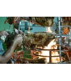 Wood BBQ - Tabletop Antikristo Circular with 10 Slot - Stainless Steel