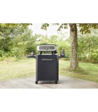 Table on Wheels Cozze with 1 Door & Foldable Side Tables - Black - 64 × 60 × 83 cm