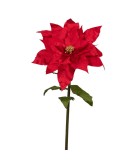 Poinsettia Flower W/Gold Pistil -Red -70 X 150Cm Poinsettia Flower W/Gold Pistil -Red -70 X 150Cm
