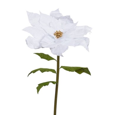 Poinsettia Flower W/Gold Pistil -White -70 X 150Cm