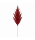 Decorative Pampas - Red - 25xH130cm