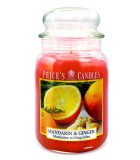 Αρωματικό κερί σε βαζάκι - Mandarin & Ginger - Μεγάλο (630γρ.)