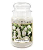 Αρωματικό κερί σε βαζάκι - Moments to Cherish - Μεγάλο (630γρ.)