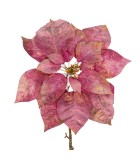 Decorative Flower - Ponsettia - Pink/Gold - 81cm Decorative Flower - Ponsettia - Pink/Gold - 81cm