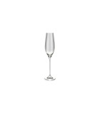 Champagne glass 21cl Cuvee - set/6