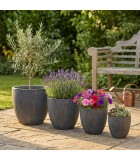 Flower Pot Set - Dahlia - Grey