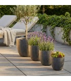 Flower Pot Set - Dahlia - Grey