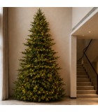 Christmas tree FOREST with lights Christmas tree FOREST with lights