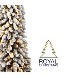 Potted Christmas Tree with Lights/Snow - Flock - Smart Adapter