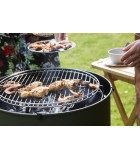 Charcoal Barbecue Edson Charcoal BBQ