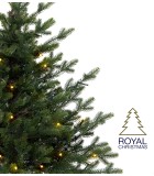 Potted Christmas Tree with Lights - Fest - Battery Oparated - Green