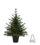 Potted Christmas Tree with Lights - Fest - Battery Oparated - Green