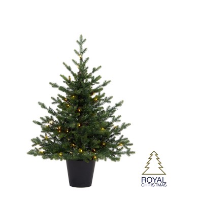 Potted Christmas Tree with Lights - Fest - Battery Oparated - Green Potted Christmas Tree with Lights - Fest - Battery Oparated - Green