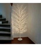 Φωτιζομενο δεντρο κλαδιων - Tiglio - Θερμο Λευκο/Λευκο LED φωτακια/Σαμπανιζε