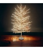 Φωτιζομενο δεντρο κλαδιων - Tiglio - Θερμο Λευκο/Λευκο LED φωτακια/Σαμπανιζε