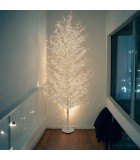 Φωτιζομενο δεντρο κλαδιων - Tiglio - Θερμο Λευκο/Λευκο LED φωτακια/Σαμπανιζε